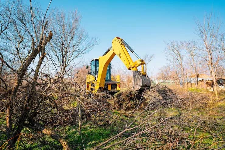 Land Clearing