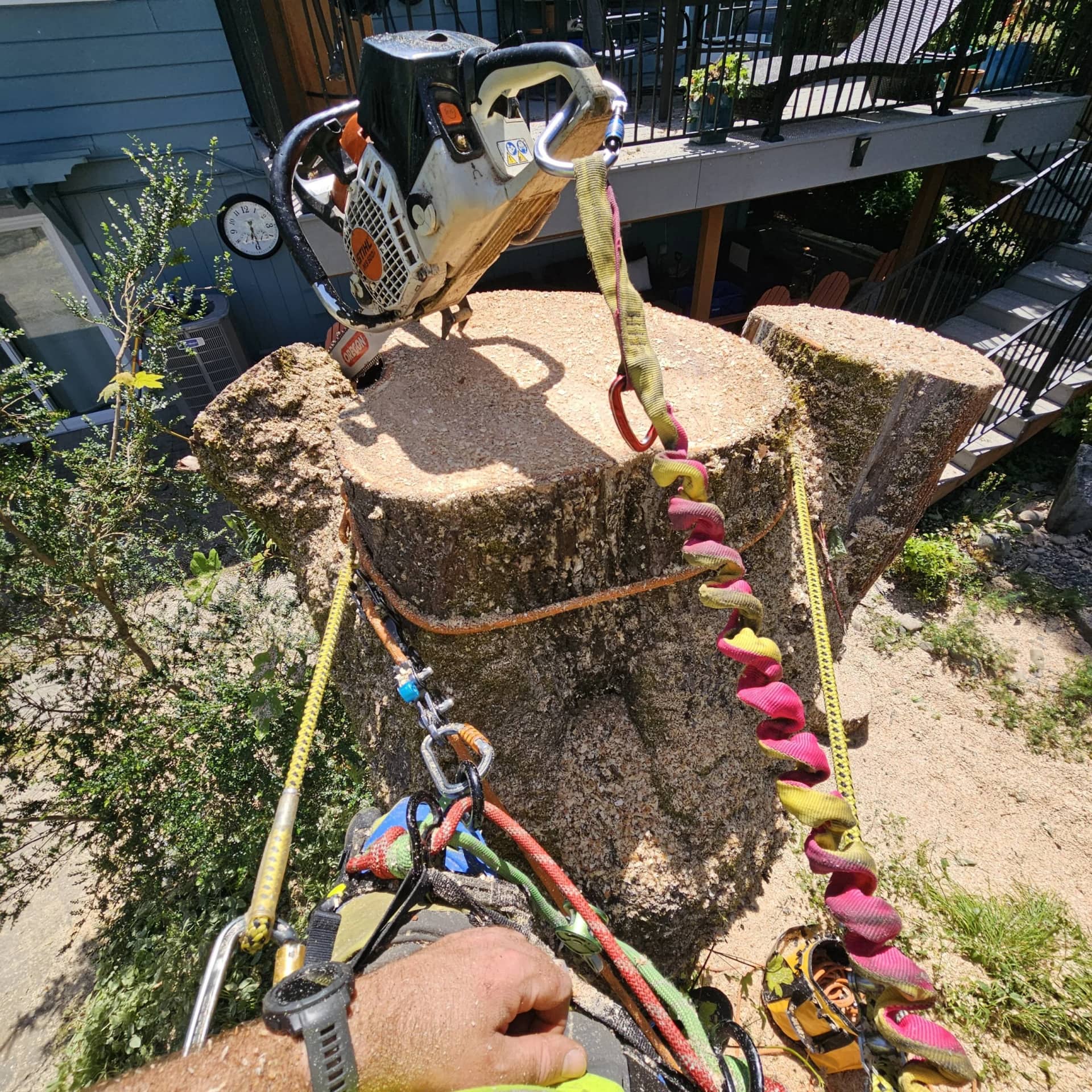 Stump/Grinding Removal